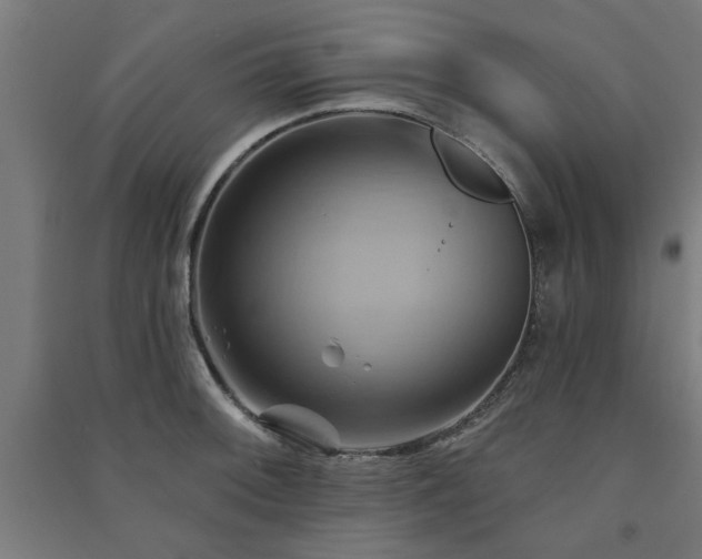 X0000091591092200708201224