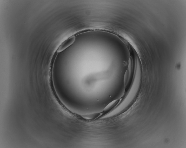 X0000091591093200708201224
