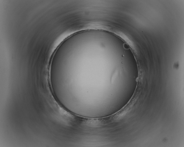X0000091591094200708201224