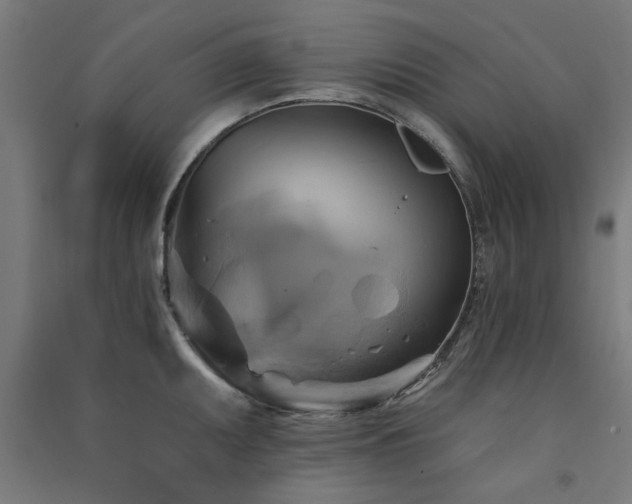 X0000091591095200708201224