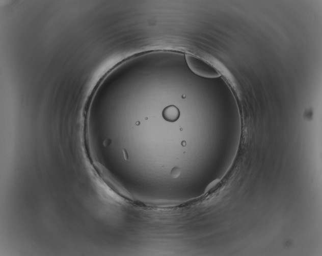 X0000091591096200708201224