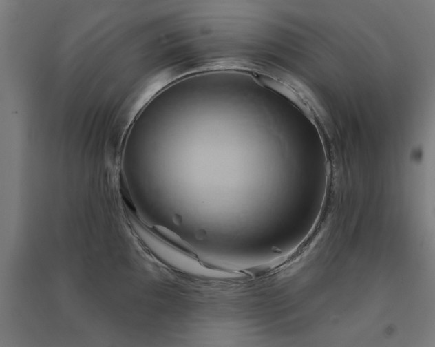 X0000091591097200708201224