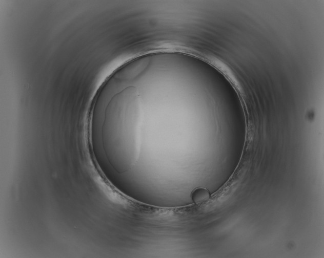 X0000091591098200708201224