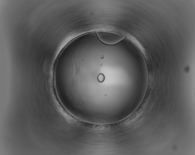 X0000091591099200708201224