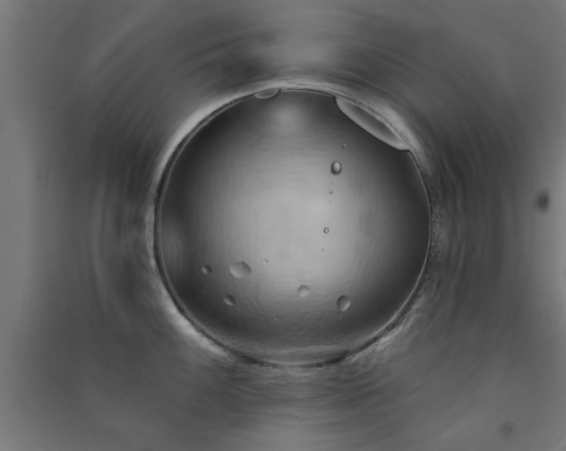X0000091591100200708201224