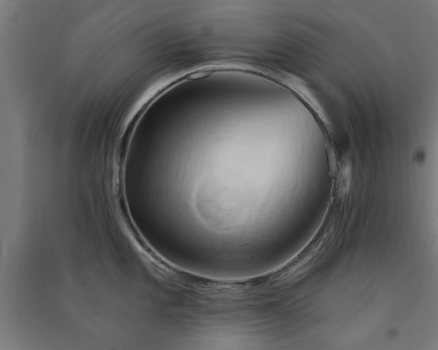 X0000091591101200708201224