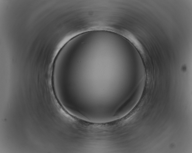 X0000091591102200708201224