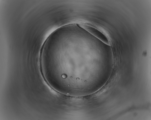 X0000091591103200708201224