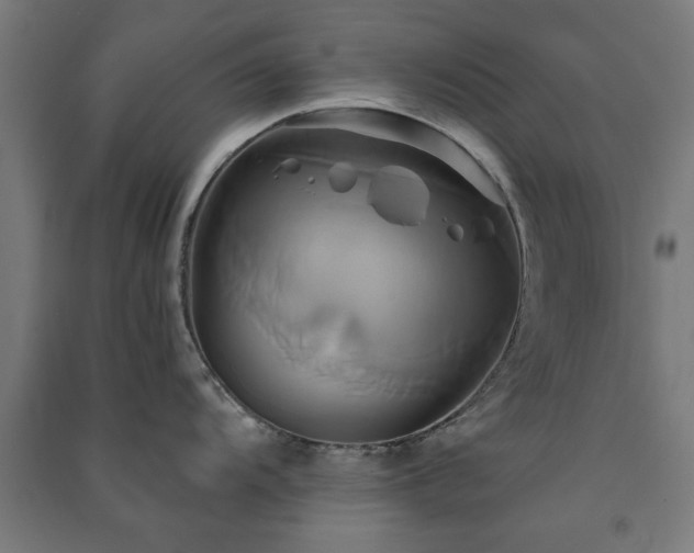 X0000091591104200708201224