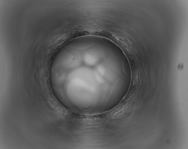 X0000091591105200708201224