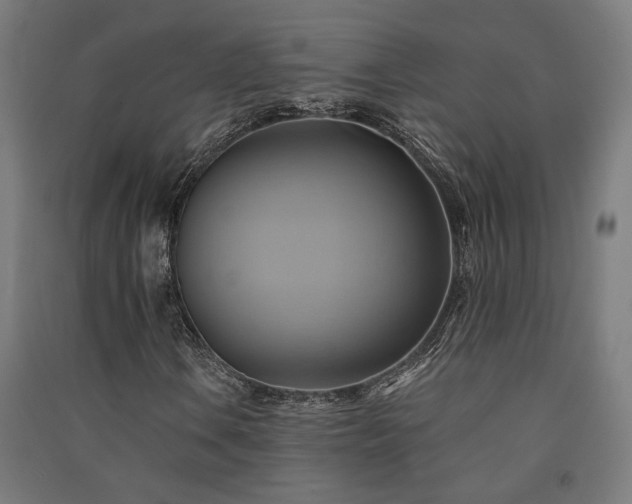 X0000091591106200708201224