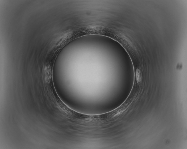 X0000091591107200708201224