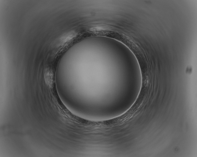 X0000091591108200708201224