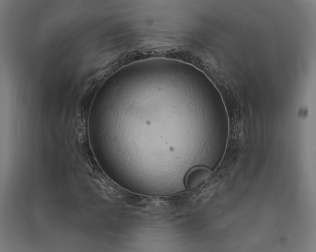 X0000091591109200708201224