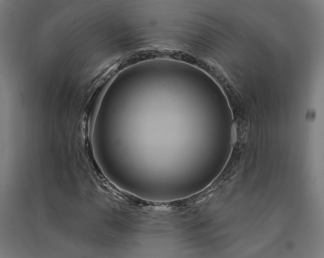 X0000091591110200708201224