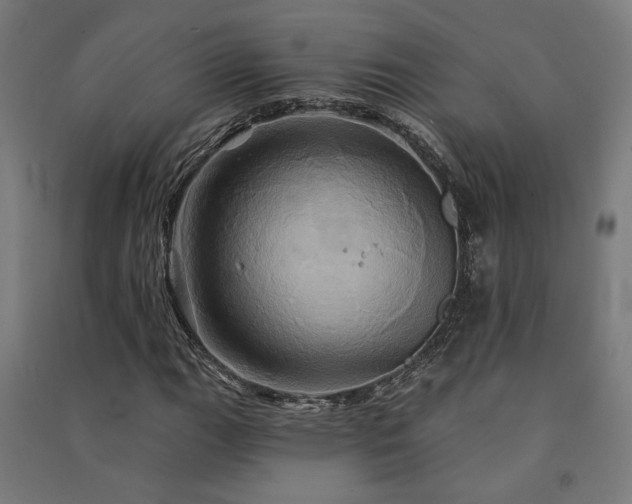 X0000091591111200708201224