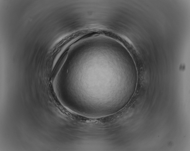 X0000091591112200708201224