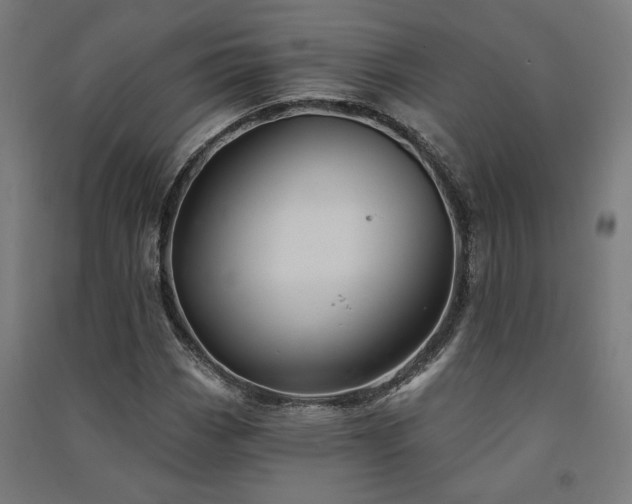 X0000091591113200708201224