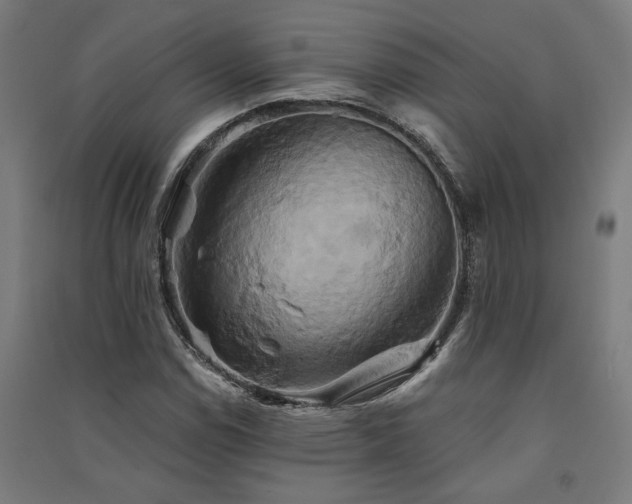 X0000091591114200708201224