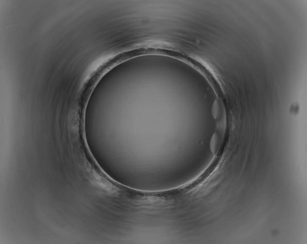 X0000091591115200708201224