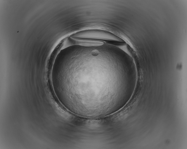 X0000091591116200708201224
