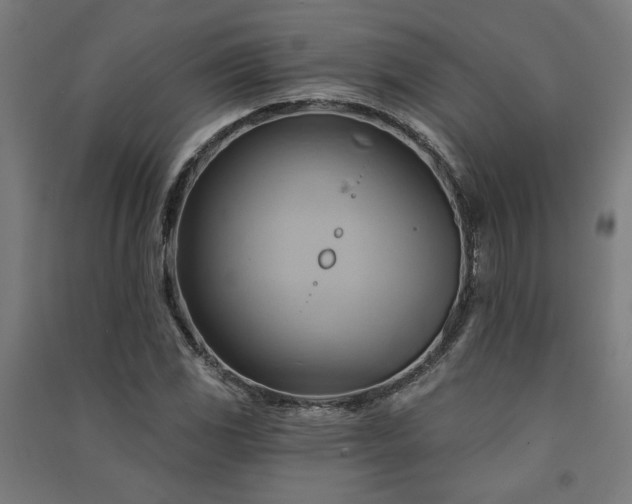 X0000091591117200708201224
