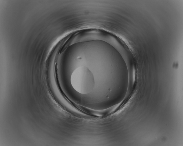 X0000091591118200708201224