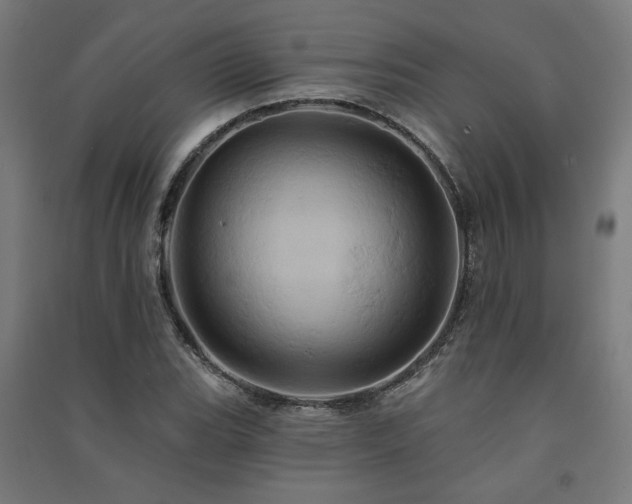 X0000091591119200708201224