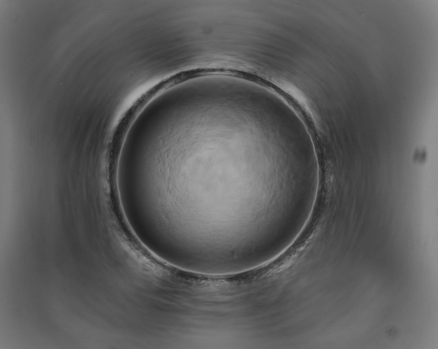 X0000091591120200708201224