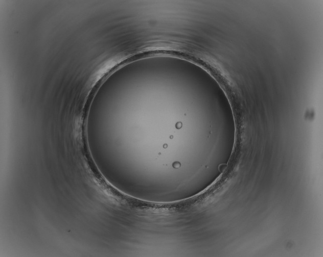 X0000091591121200708201224