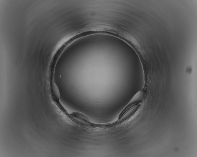 X0000091591122200708201224
