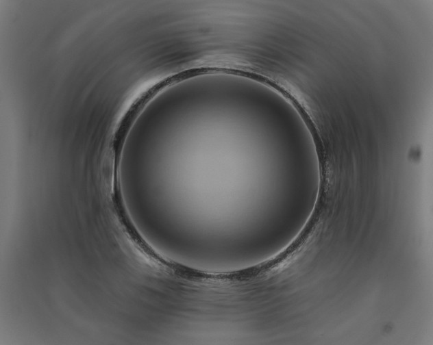 X0000091591123200708201224