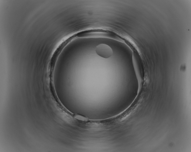 X0000091591124200708201224