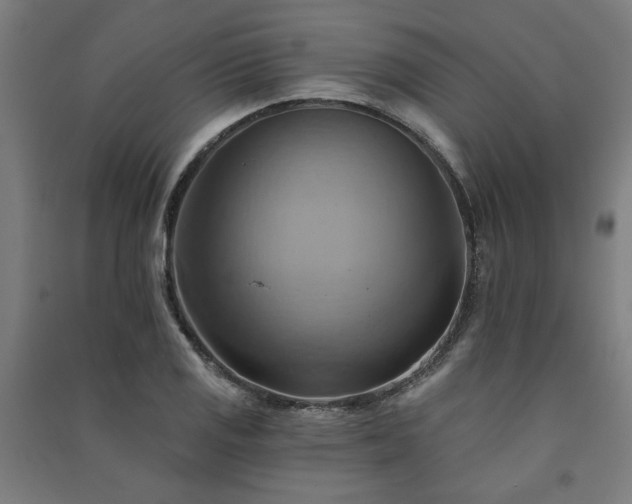 X0000091591125200708201224
