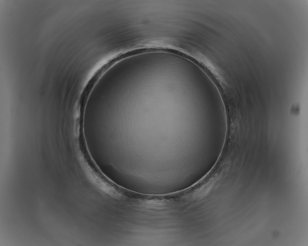 X0000091591126200708201224