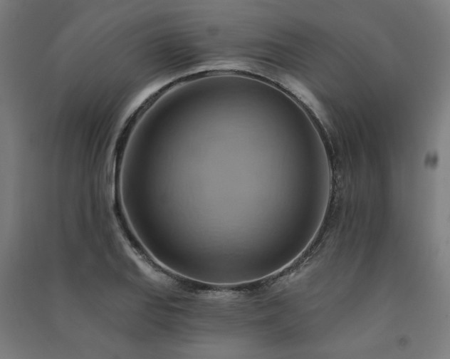 X0000091591127200708201224