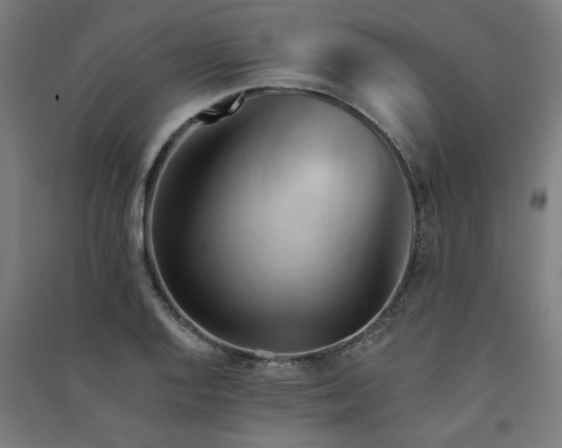 X0000091591128200708201224