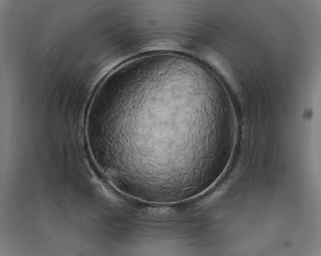 X0000091591129200708201224