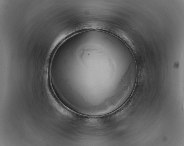 X0000091591130200708201224