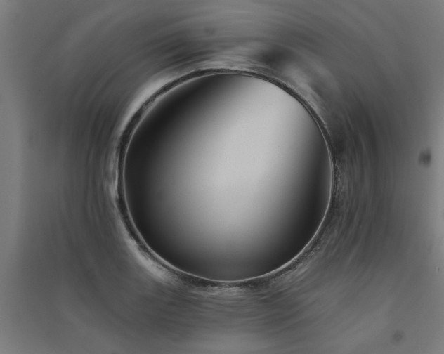 X0000091591131200708201224