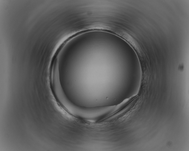 X0000091591132200708201224