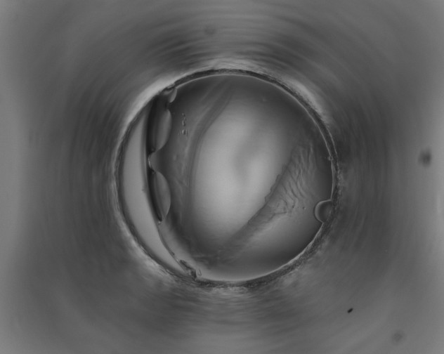 X0000091591133200708201224