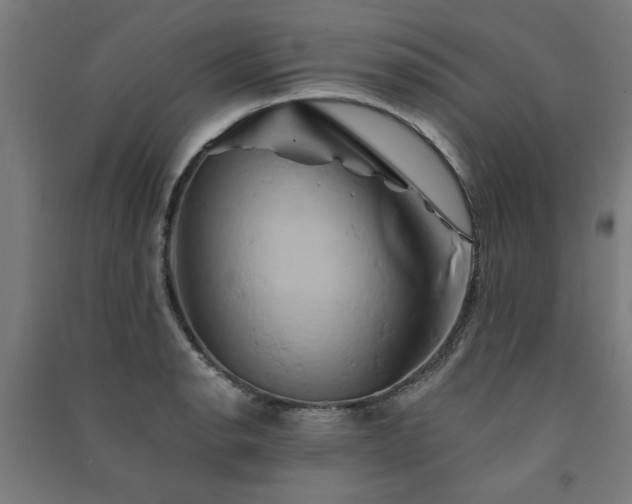 X0000091591134200708201224