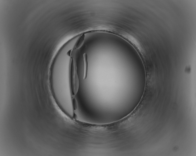 X0000091591135200708201224