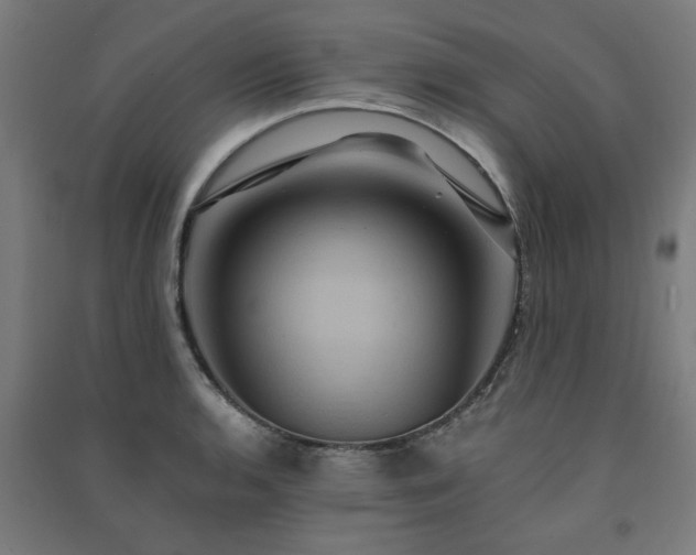 X0000091591136200708201224