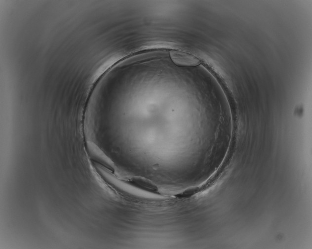 X0000091591137200708201224