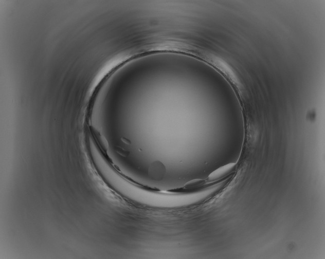 X0000091591138200708201224