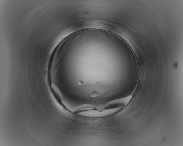 X0000091591139200708201224