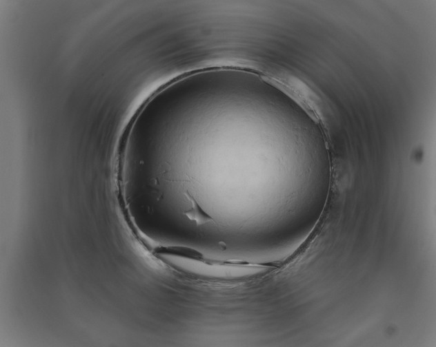 X0000091591140200708201224
