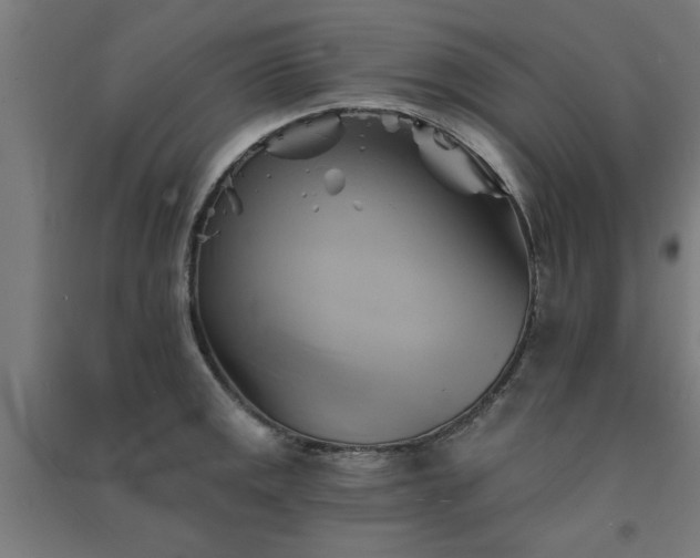 X0000091591141200708201224